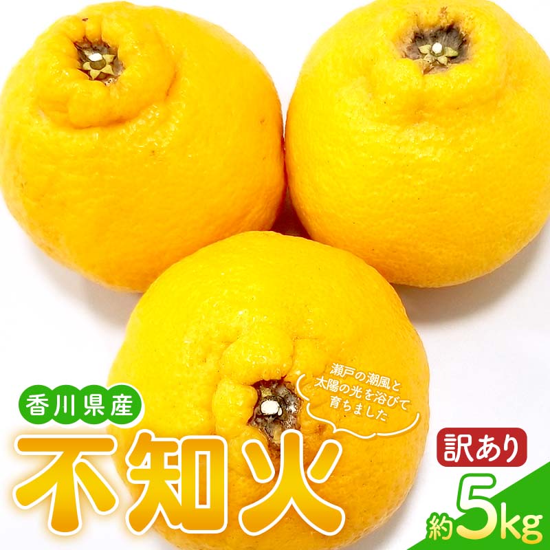 【ふるさと納税】【先行予約2026年2月～3月頃お届け】 訳あり家庭用不知火(約5kg) しらぬい 柑橘 果物 香川 みかん F5J-955