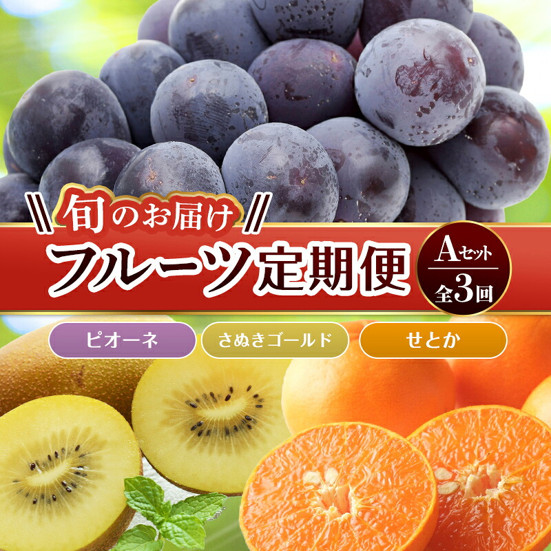 【ふるさと納税】【フルーツ定期便 3回】 《ピオーネからスタート》 Aセット ピオーネ 約1.2kg さぬきゴールド 約2.7kg せとか 約5kg ぶどう キウイ キウイフルーツ みかん 柑橘 旬 果物 国産 香川県 フルーツ定期便 F5J-793