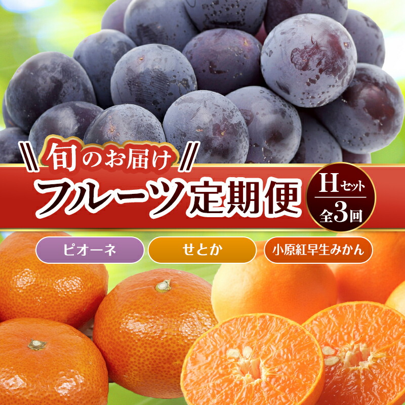 【ふるさと納税】【フルーツ定期便 3回】 《ピオーネからスタート》 Hセット ピオーネ 約1.2kg 小原紅早生みかん 約4.5kg せとか 約5kg ぶどう みかん 柑橘 旬 果物 国産 香川県 フルーツ定期便 F5J-800