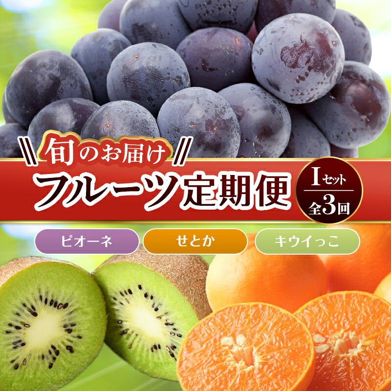 【ふるさと納税】【フルーツ定期便 3回】 《ピオーネからスタート》 Iセット ピオーネ 約1.2kg キウイっこ 約1.8kg せとか 約5kg ぶどう キウイ キウイフルーツ みかん 柑橘 旬 果物 国産 香川県 フルーツ定期便 F5J-801|香川県琴平町