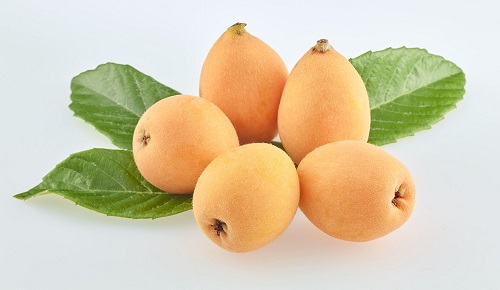 ふるさと納税 フルーツ定期便 さぬき讃フルーツ 種類 旬のフルーツを 種類ずつお届け シャインマスカット ピオーネ びわ さぬきゴールド デコポン Shipturtle Com