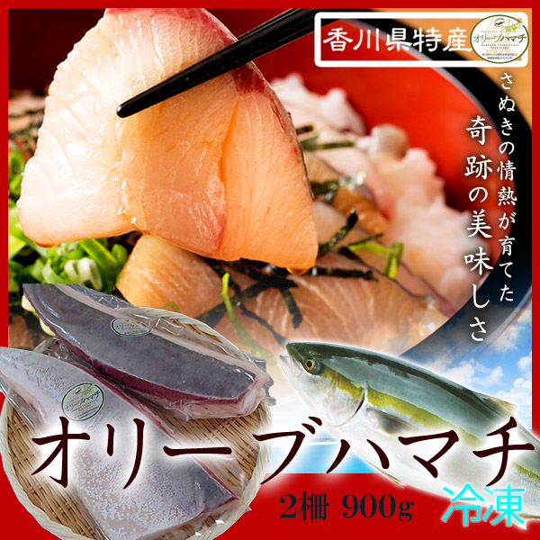 【ふるさと納税】オリーブハマチ　冷凍　柵２本（お届け：冷凍）お刺身や漬け丼 照り焼き しゃぶしゃぶにどうぞ!