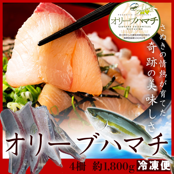 【ふるさと納税】オリーブハマチ　冷凍　柵４本（お届け：冷凍）お刺身や漬け丼 照り焼き しゃぶしゃぶにどうぞ!