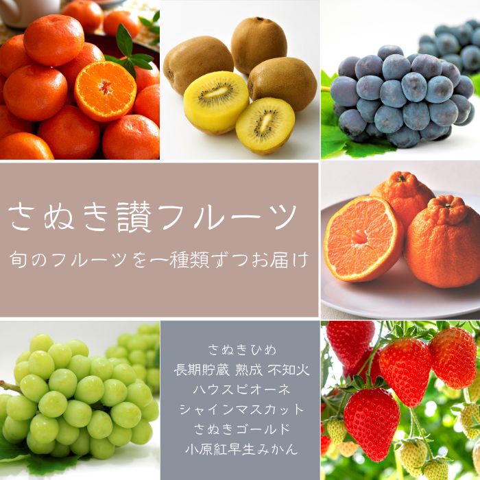 【ふるさと納税】【フルーツ定期便】さぬき讃フルーツ６種類 旬のフルーツを１種類ずつお届け 〔提供：ことひら街道〕シャインマスカット ピオーネ びわ さぬきゴールド デコポン さぬきひめ いちご フルーツ くだもの 香川県 多度津町 旬 新鮮 ふるーつ 果物