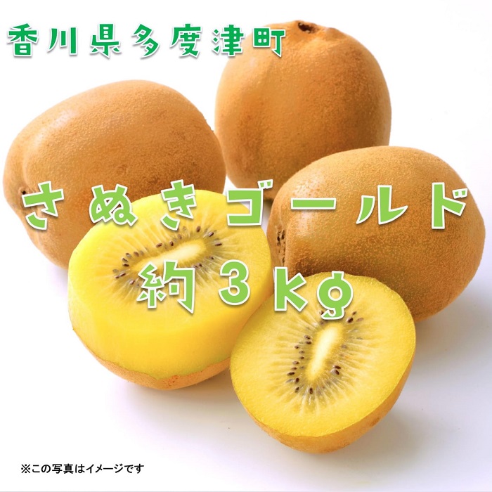 【ふるさと納税】香川県オリジナルキウイフルーツ『さぬきゴールド』約3kg【予約受付中！令和7年10月中旬頃から発送】〔提供：株式会社ことひら街道〕しあわせ製麺 甘い 期間限定 大きい