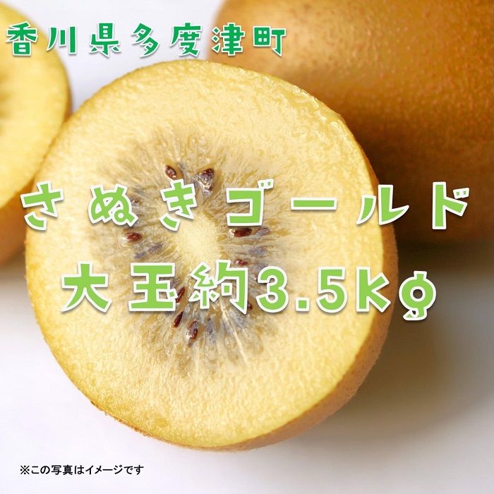 【ふるさと納税】香川県オリジナルキウイフルーツ『さぬきゴールド』大玉約3.5kg【予約受付中！令和7年10月中旬頃から発送】〔提供：株式会社ことひら街道〕しあわせ製麺 甘い 大きい 期間限定
