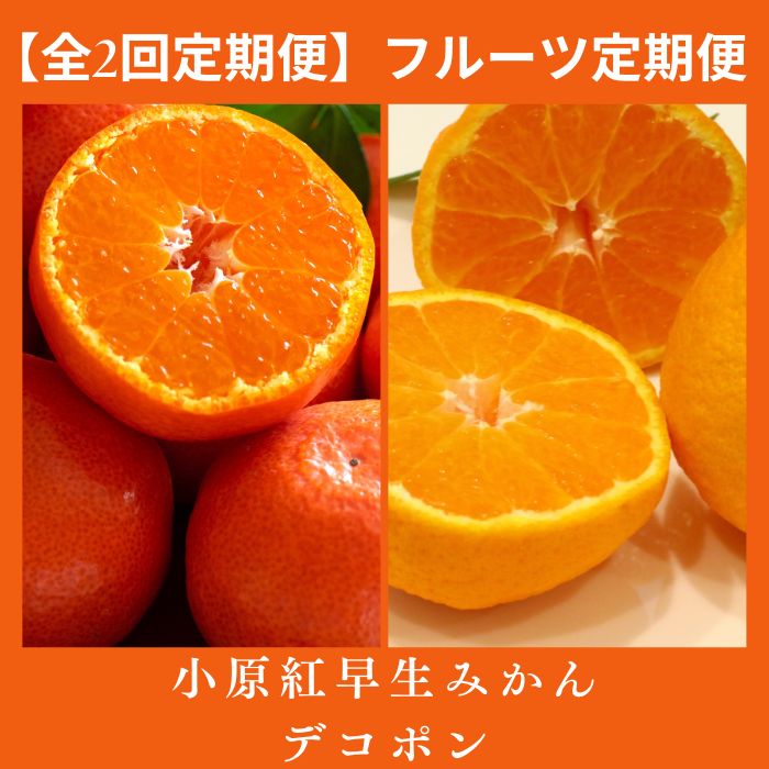 【ふるさと納税】【全2回フルーツ定期便】小原紅早生みかんと不知火(デコポン)〔提供：有限会社マミィギフトカガワ〕