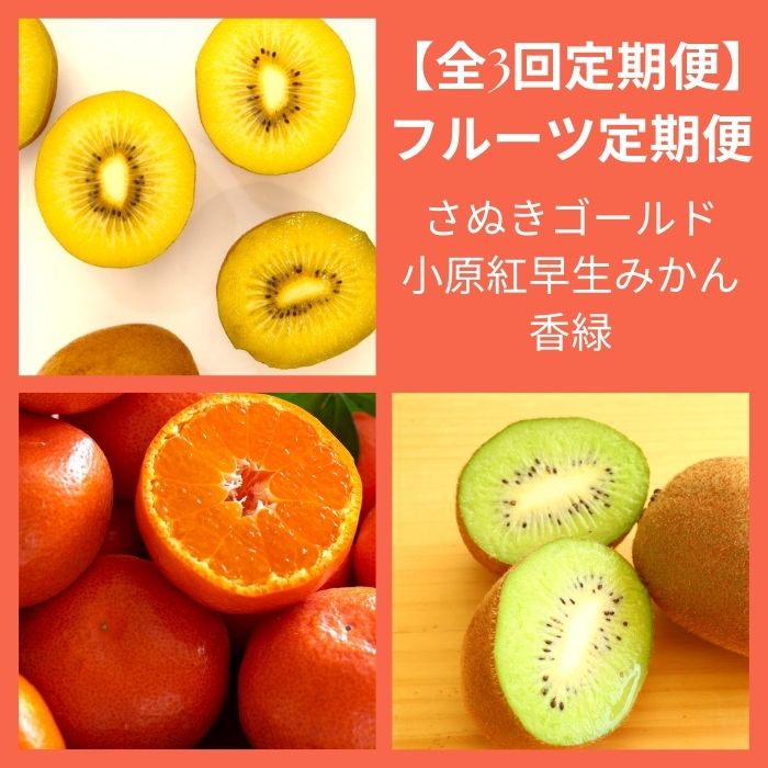 【ふるさと納税】【全3回フルーツ定期便】さぬきゴールドと小原紅早生みかんと香緑〔提供：有限会社マミィギフトカガワ〕
