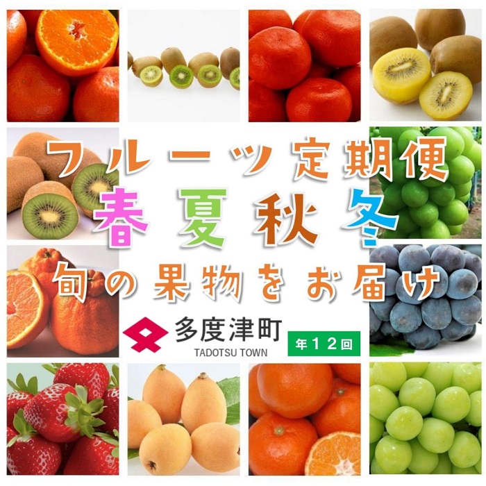 【ふるさと納税】【フルーツ定期便】フルーツ王国さぬきの旬のフルーツを毎月１種類ずつお届け しあわせ製麺 シャインマスカット ピオーネ さぬきひめ さぬきゴールド デコポン デラウエア 小原紅早生みかん キウイっこ 香緑 なつたより