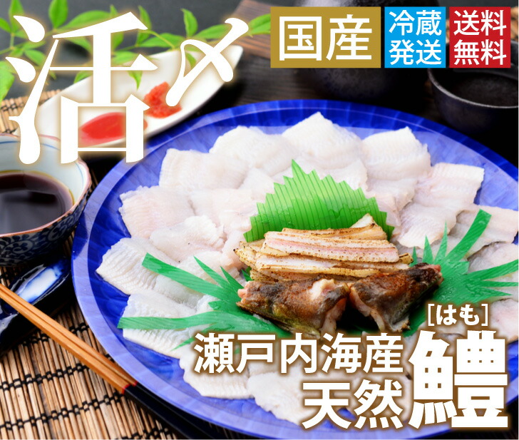 【ふるさと納税】鱧骨切りしゃぶしゃぶ用（2人前）【予約受付中！令和7年7月頃より！天然物につき捕れ次第発送！】（お届け：冷蔵）〔提供：有限会社　倉本水産〕