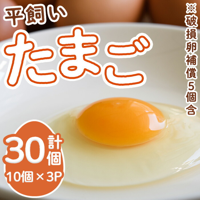【ふるさと納税】＜数量限定＞ 香川県産 平飼い たまご (計30個・10個×3パック) 国産 たまご 卵 鶏卵 産地直送 卵かけご飯 卵焼き 【man120】【翔洋舎】