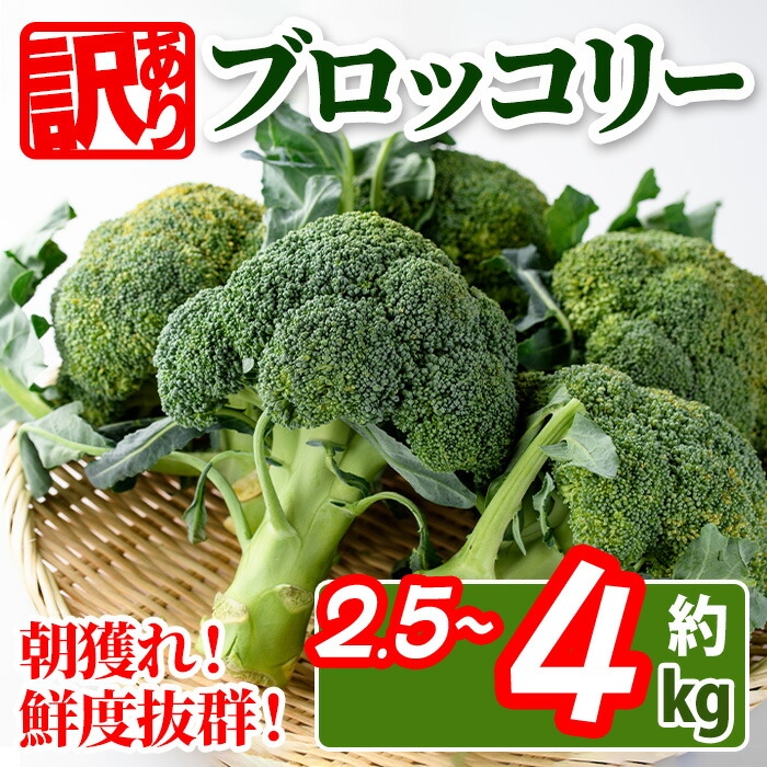 【ふるさと納税】＜期間限定！2026年2月上旬以降順次発送予定＞＜訳あり・家庭用＞＜選べる用量＞香川県産 ブロッコリー(約2.5kg・約4kg)国産 鮮度抜群 野菜 産地直送 新鮮 冷蔵便 【man058・man108】【Aglio nero】