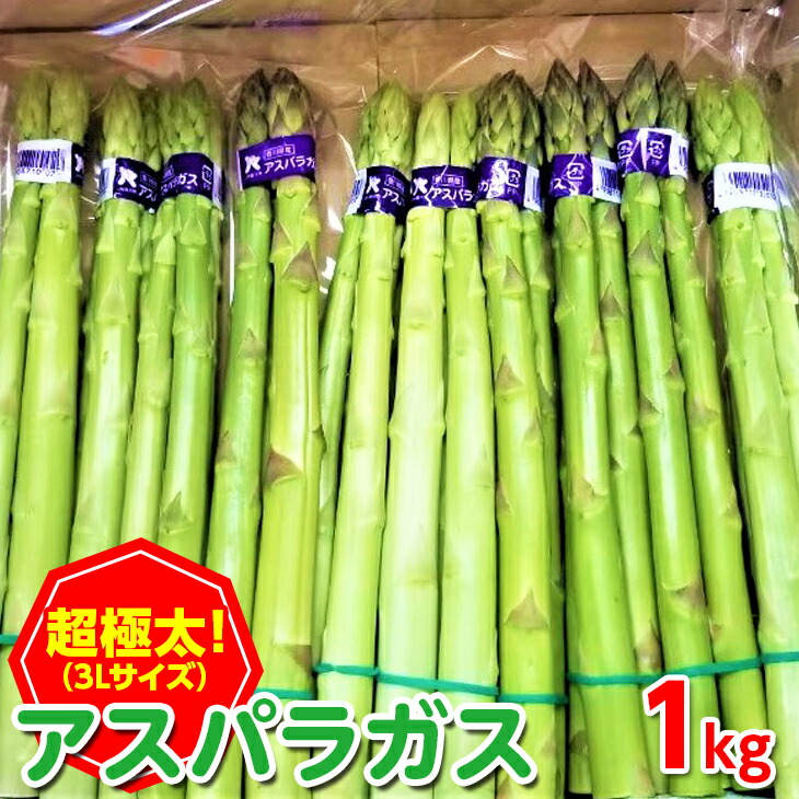 楽天市場】【ふるさと納税】＜期間限定！2025年2月下旬以降順次