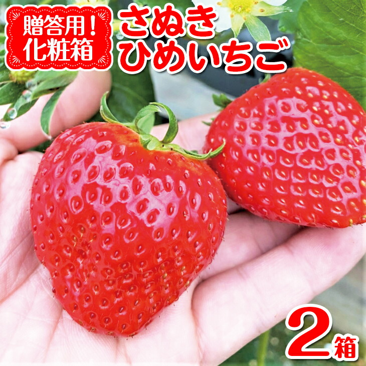 限定製作 ふるさと納税 贈答用 さぬきひめいちご化粧箱 約400ｇ 2箱 苺 イチゴ 産地直送 新鮮 冷蔵便 ギフト 23年2月中旬 5月上旬頃に順次発送予定 北海道 沖縄 離島への配送不可 本物保証 Css Edu Om