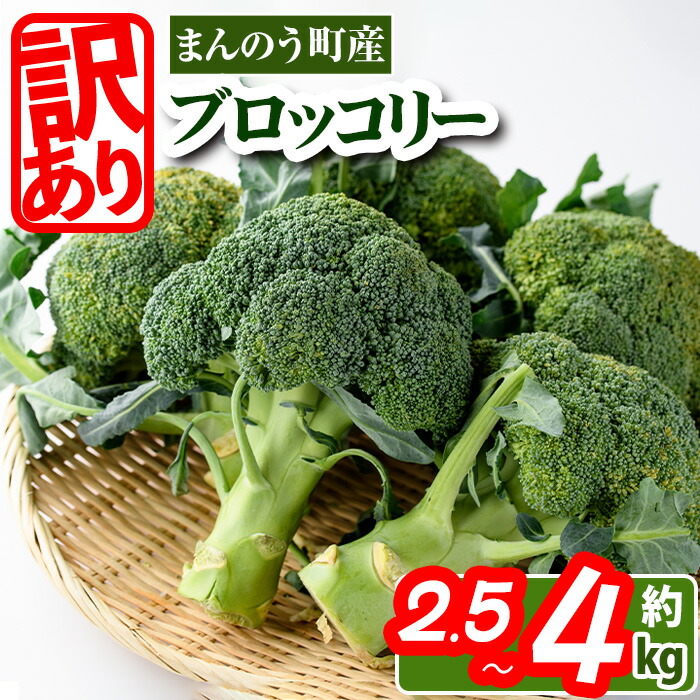 【ふるさと納税】＜期間限定！2025年2月上旬以降順次発送予定＞＜訳あり・家庭用＞＜選べる用量＞香川県産 ブロッコリー(約2.5kg・約4kg)国産 鮮度抜群 野菜 産地直送 新鮮 冷蔵便 【man058・man108】【Aglio nero】