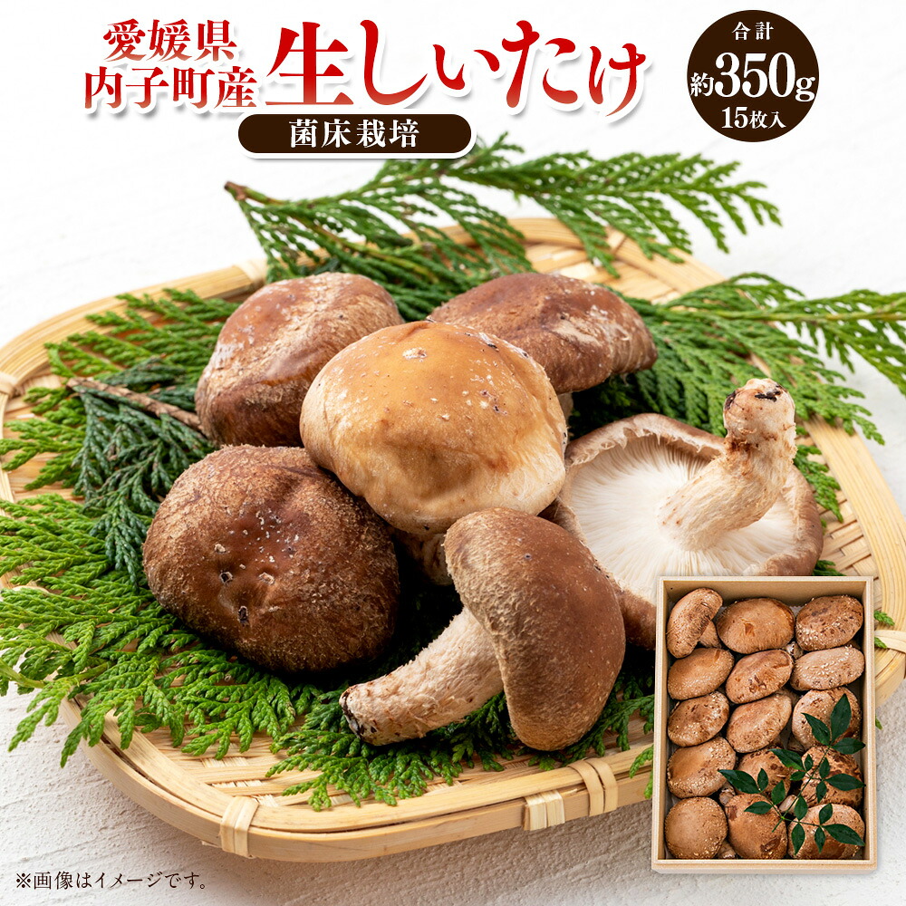【ふるさと納税】内子町産 生しいたけ(菌床栽培) 約350g 15枚入り 椎茸 シイタケ きのこ キノコ 茸 国産 四国 愛媛県 送料無料 (442)【えひめの町(超)推し!(内子町)】|愛媛県