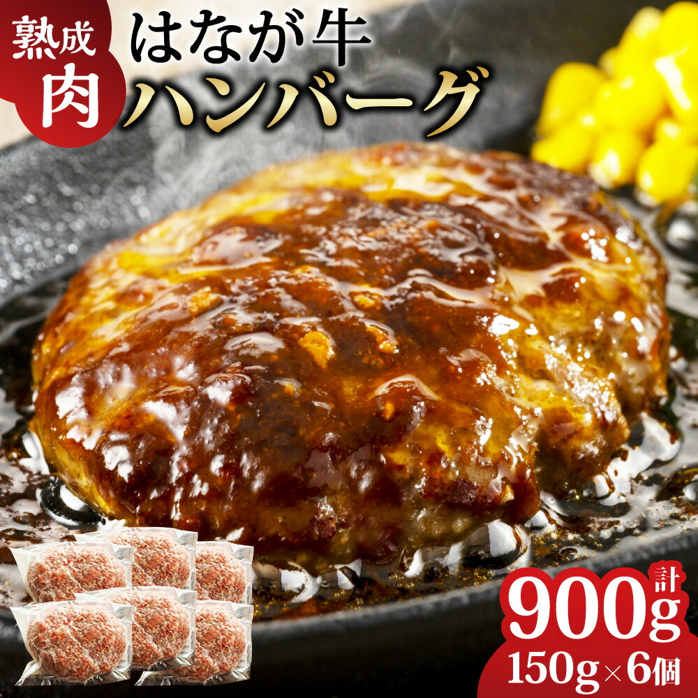 【ふるさと納税】熟成肉 はなが牛ハンバーグ 計約900g 約150g×6個 ハンバーグ 肉 牛肉 惣菜 おかず 洋食 ごちそう 簡単調理 お取り寄せ 冷凍 国産 愛媛県 送料無料 (621) 16,060円