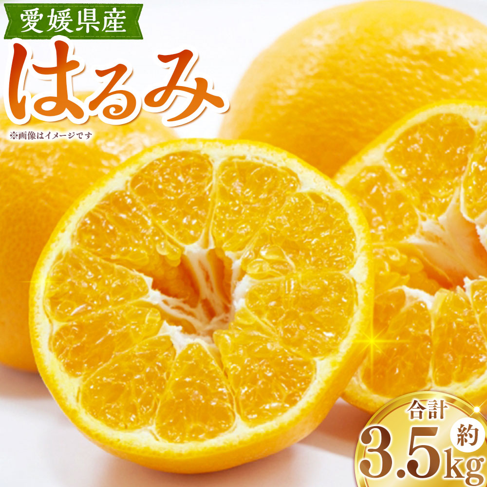【ふるさと納税】 はるみ 約3.5kg 4L～3L みかん ミカン 蜜柑 柑橘 かんきつ フルーツ くだもの 果物 果実 デザート 愛媛県産 国産 愛媛県 送料無料 【2027年1月下旬～2月上旬発送予定】（1125）｜愛媛県 17,250円