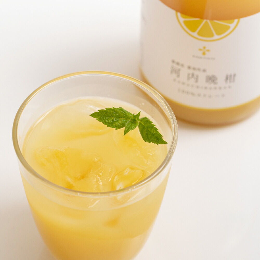 【ふるさと納税】無添加 果汁100％ 河内晩柑ジュース 720ml〈選べる〉3本入 or 6本入 13000円 ～ 24000円 1万3000円 ～ 2万4000円 ジュース みかんジュース オレンジジュース 送料無料【2026年5月上旬～12月上旬まで発送予定】【えひめの町(超)推し！(愛南町)】(576-1)(577) 18,000円