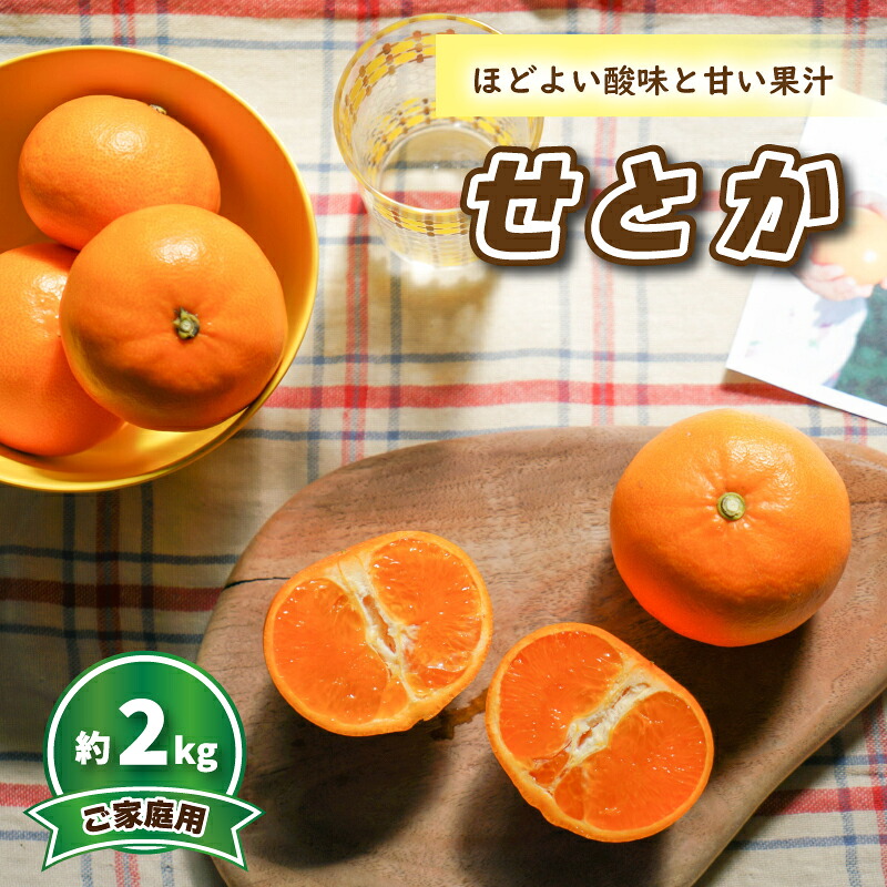 【ふるさと納税】 【2027年3月頃から順次発送】 せとか (家庭用) 約2kg | みかん 柑橘 せとか 蜜柑 みかん 雪幸園 愛媛県 松山市｜愛媛県松山市 8,030円