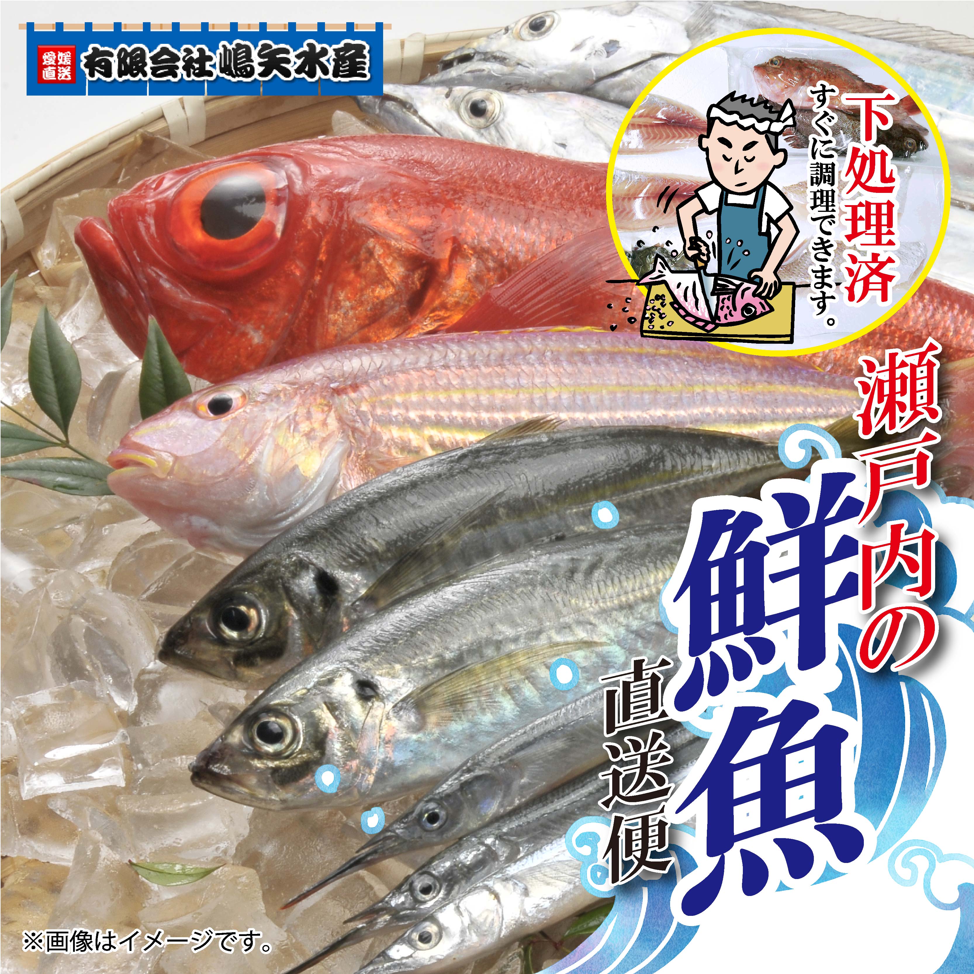 【ふるさと納税】 嶋矢水産 瀬戸内の鮮魚 直送便 下処理済み 二人前 四人前 刺身 煮魚 焼き魚 詰め合わせ セット 季節の旬魚 産地直送 冷蔵 鯛 サワラ タチウオ イサキ 老舗 魚介 海鮮 海産物 ギフト 贈り物 人気 お取り寄せ 愛媛県 松山市 送料無料
