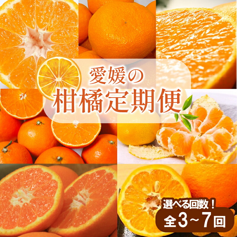 【楽天市場】【ふるさと納税】 【先行予約】【全3～7回】 柑橘定期便｜ 興居島みかん あいか はれひめ いよかん温州 温州みかん 愛果 愛果 ...