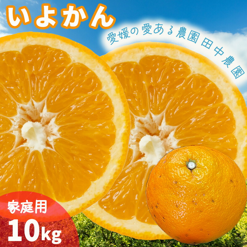 【ふるさと納税】 【2027年1月上旬頃から順次発送】伊予柑 いよかん 約10kg 家庭用 柑橘類 先行予約 フルーツ 柑橘類 先行予約 果物 フルーツ みかん 10kg イヨカン 宮内伊予柑 人気 おすすめ 愛媛 松山 田中農園｜愛媛県松山市