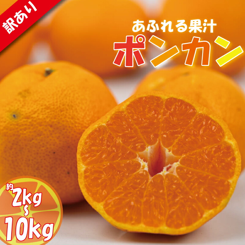 超感謝特価❤みかん＊超レア❤厚手✳極暖柔やわWボア★超特大ブランケット 楽天市場】【ふるさと納税】 【2/10受付終了予定！】 訳あり ポンカン