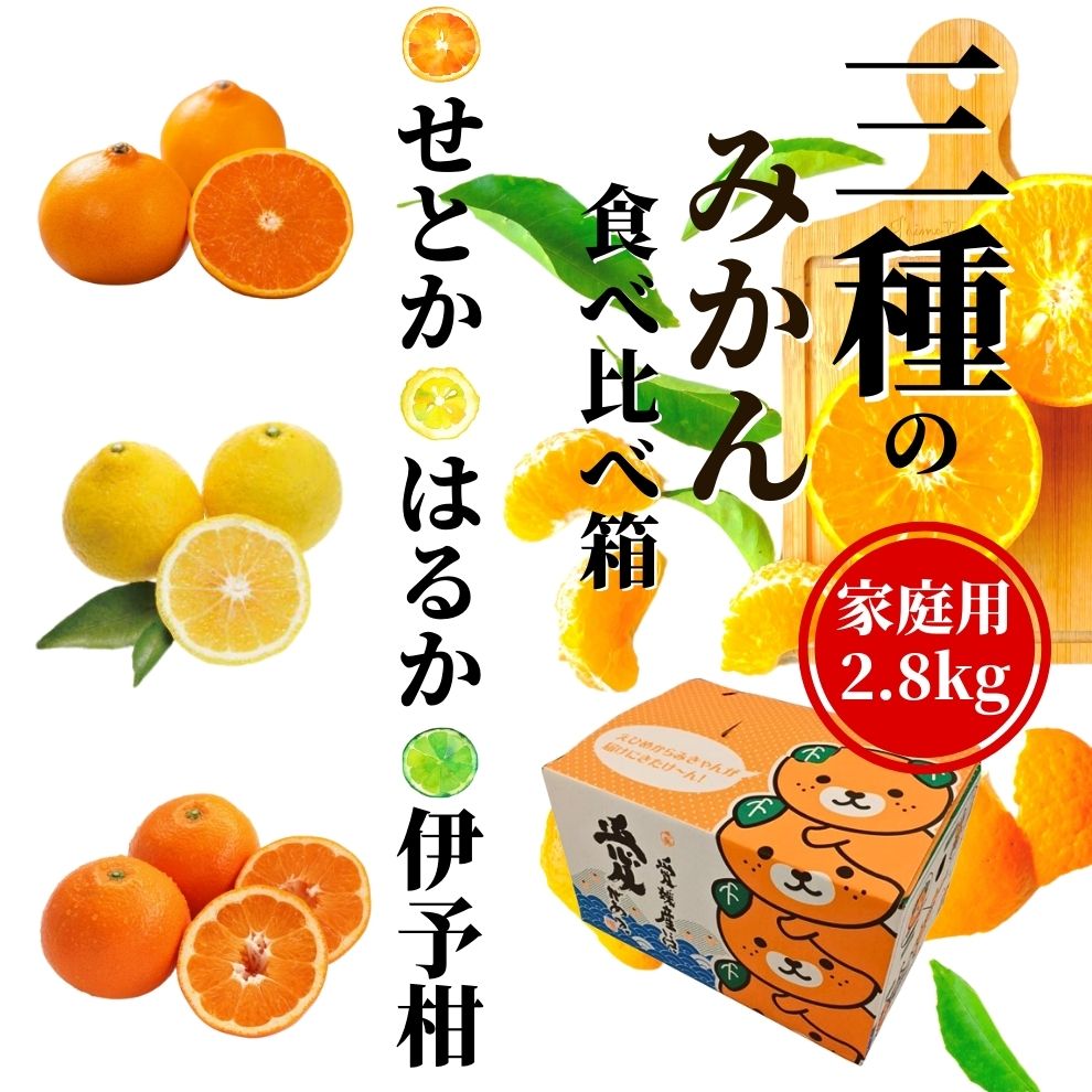 【ふるさと納税】 《2027年2月頃から順次発送》【三種のみかん食べ比べ箱】せとか・はるか・宮内伊予柑 （家庭用）2.8kg | 愛媛 みかん 蜜柑 柑橘 果物 くだもの フルーツ お取り寄せ グルメ 期間限定 数量限定 人気 おすすめ 愛媛県 松山市｜愛媛県松山市