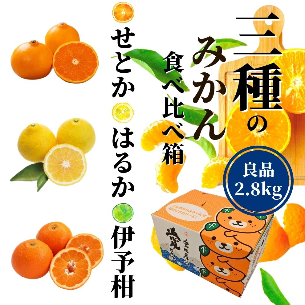 【ふるさと納税】 《2027年2月上旬頃から順次発送》【三種のみかん食べ比べ箱】 せとか・はるか・宮内伊予柑 （良品）2.8kg | 食べくらべ 愛媛 みかん 詰め合わせ セット 蜜柑 柑橘 果物 くだもの フルーツ お取り寄せ グルメ 期間限定 数量限定 人気 おすすめ 愛媛県 松山市｜愛媛県松山市 9,620円
