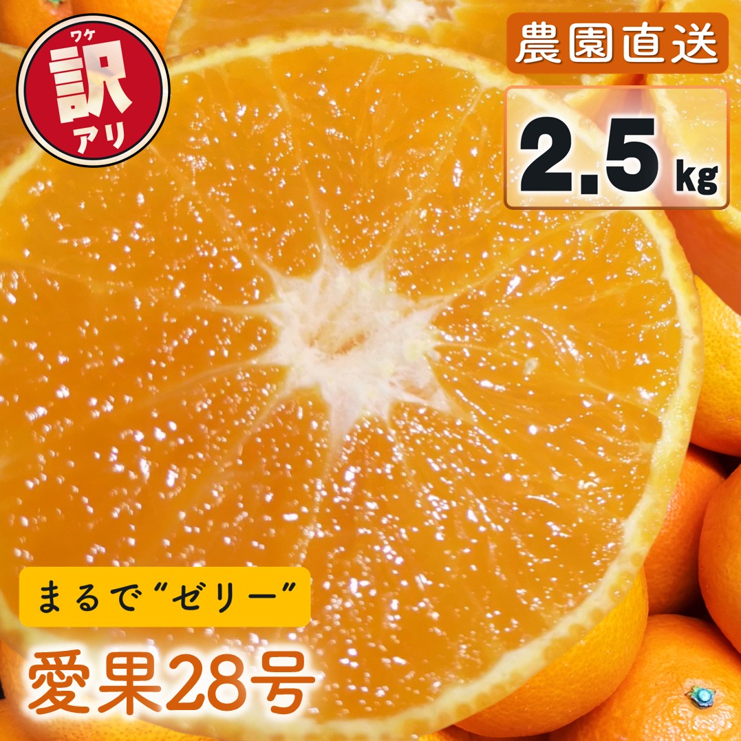 楽天市場】【ふるさと納税】 【おまかせ10種】飲むみかんゼリー 楽天市場】【ふるさと納税】 【おまかせ10種】飲むみかんゼリー