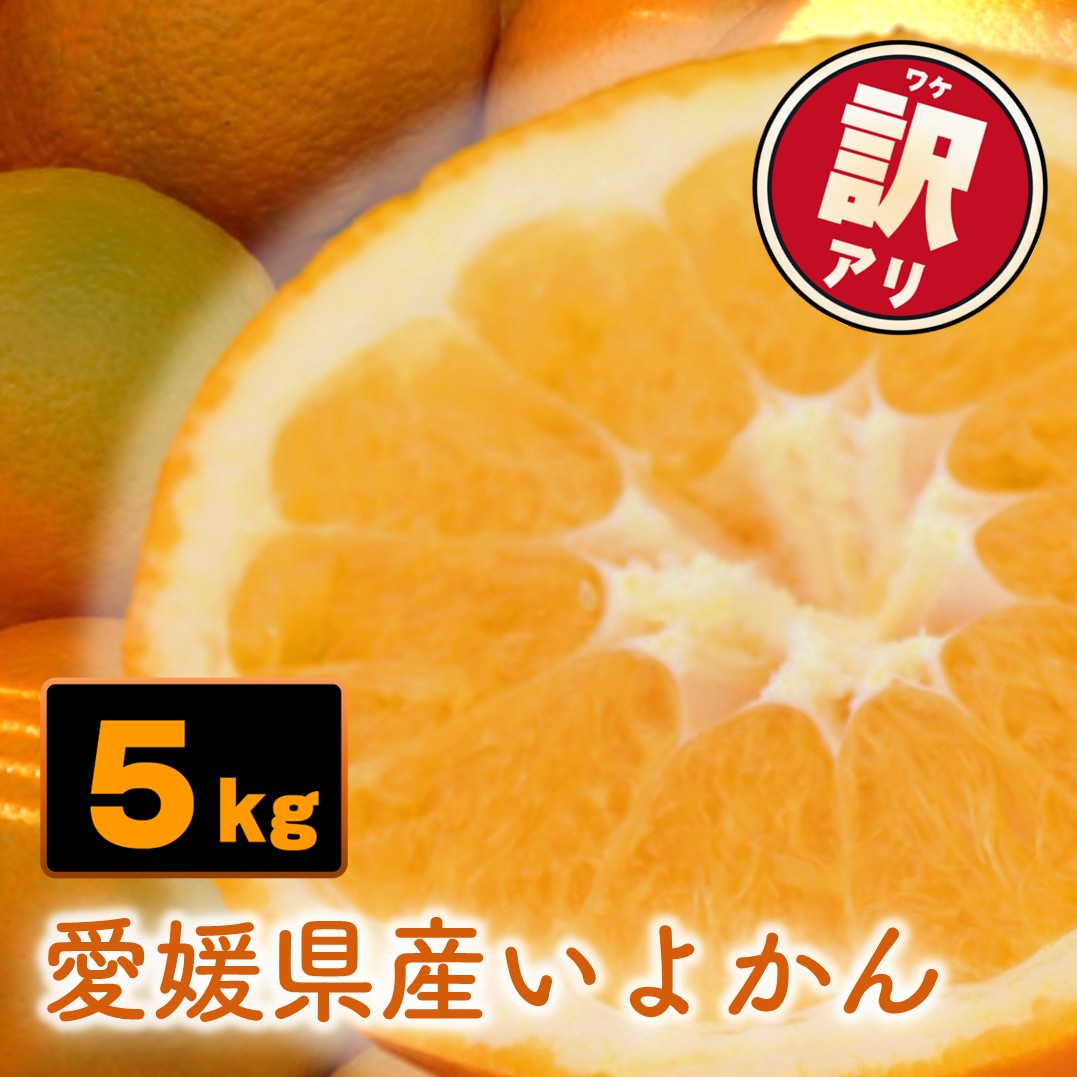 【ふるさと納税】 【先行予約】訳あり 愛媛県産 宮内いよかん 5kg | 【1月上旬～2月下旬発送】 宮内伊予柑 いよかん 蜜柑 伊予柑 わけあり 家庭用 柑橘 みかん ミカン フルーツ 果物 甘い  酸味 果汁 果肉 期間限定 旬 お取り寄せ グルメ みかん 農家直送 国産 愛媛県 松山市