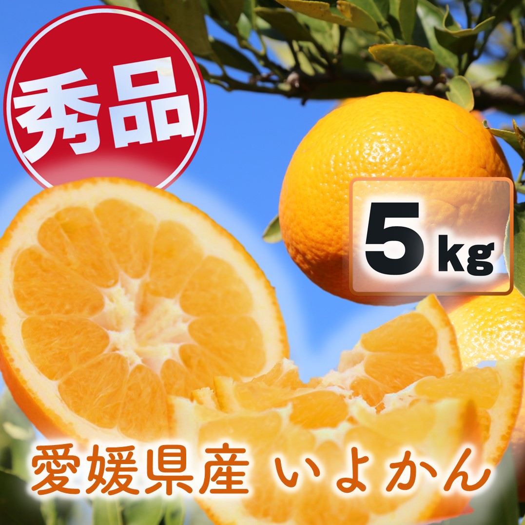 【ふるさと納税】 【先行予約】宮内いよかん 伊予柑 5kg 愛媛県産 秀品 【1月上旬～2月下旬発送】 いよかん 伊予柑 家庭用 柑橘 みかん 秀品 愛媛県 松山市