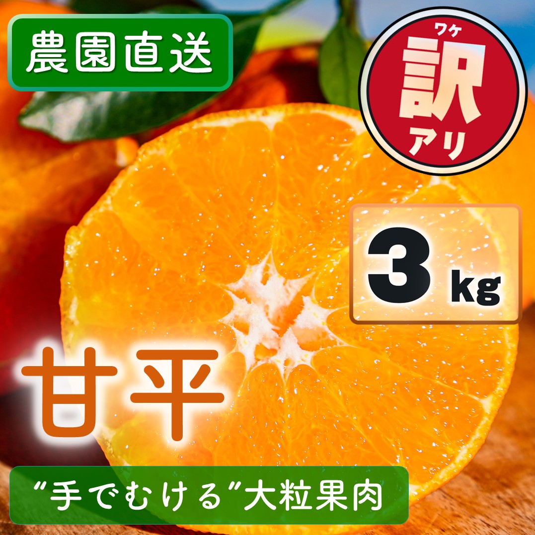 【ふるさと納税】 【先行予約】 訳あり 農園直送 甘平（かんぺい） 3kg 【1月上旬～2月中旬発送】 愛媛県限定 希少 高級柑橘 手でむける みかん 果物 フルーツ 愛媛県 松山市