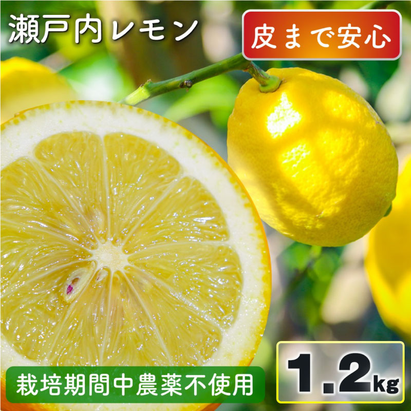 【ふるさと納税】 【先行予約】 瀬戸内レモン 1.2kg レモン れもん 檸檬 レモン果汁 酸味 果物 ビタミン 健康 フルーツ 柑橘 農家直送 産地直送 数量限定 国産 愛媛 松山 レモン レモンサワー ジュース チューハイ 果物 くだもの 果実 フルーツ 有名 愛媛 ビタミン れもん