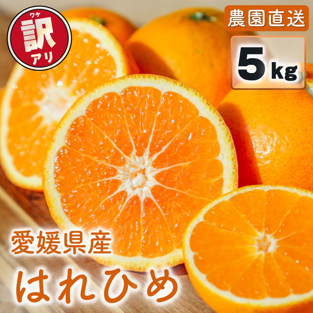 【ふるさと納税】 【先行予約】訳あり はれひめ 約5kg (40-50個程度) 【2027年1月上旬頃から順次発送】 | 訳あり 不揃い 柑橘 果物 フルーツ はれひめ 晴姫 晴れ姫 くだもの わけあり ワケアリ みかん ミカン 松山市 愛媛県 MOTTAINAI COCOLOFARM MCF