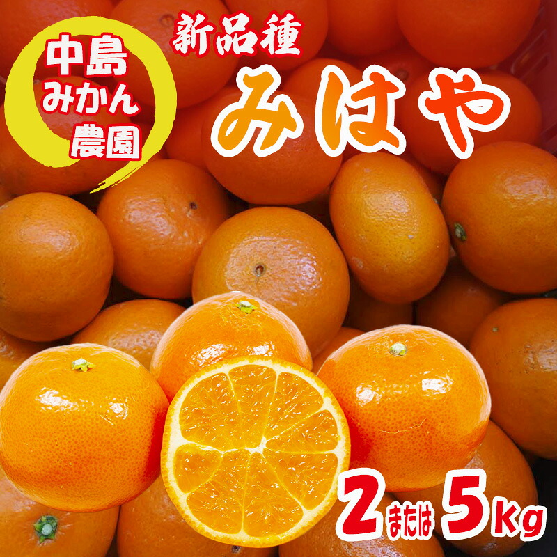 【ふるさと納税】 【2026年12月中旬頃から順次発送】みはや 家庭用 2kg または 5kg 新品種 紅いダイヤ 数量選択可 中島みかん農園｜先行予約 みかん 蜜柑 柑橘 甘い 中島 温州 数量 限定 愛媛 松山｜愛媛県松山市