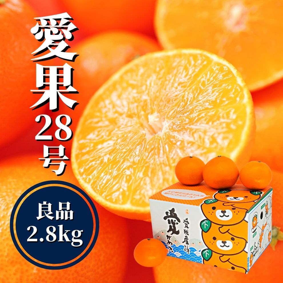 【ふるさと納税】 【早期予約受付中！2025年12月頃から順次発送】 あいか 約2.8kg 良品  | 愛果28号 まどんな 柑橘 みかん 果物 くだもの フルーツ おすすめ 高級 人気 お取り寄せ グルメ ギフト 期間限定 数量限定 ご当地 愛媛県 松山市