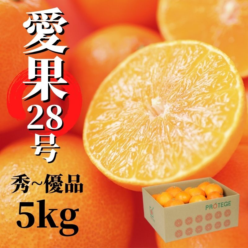 楽天市場】【ふるさと納税】 【2026年12月頃から順次発送】愛果