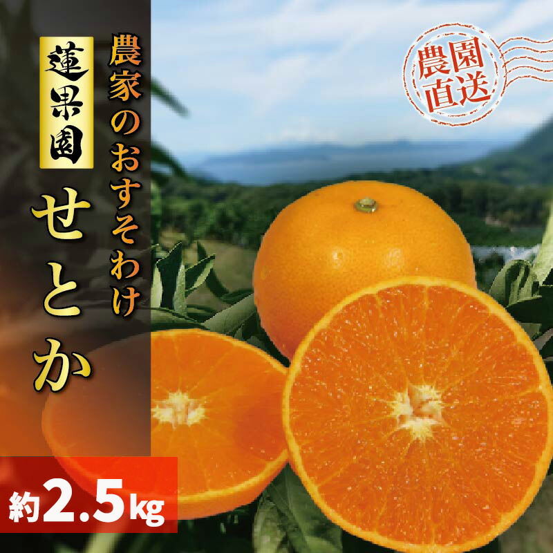 【ふるさと納税】 【2026年2月下旬から発送】 せとか  訳あり 家庭用 2.5kg 先行予約 | 高級 みかん 愛媛 蜜柑 柑橘  果物 くだもの フルーツ おすすめ  人気 お取り寄せ グルメ ギフト 期間限定 数量限定 ご当地  松山市 蓮果園