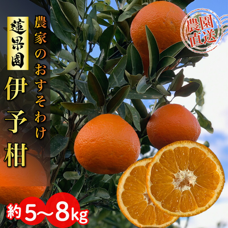 【ふるさと納税】 【先行予約】 【2026年1月から発送予定】 家庭用 宮内伊予柑 5kg または 8kg サイズ混合  （ 訳あり 柑橘 みかん 果物 くだもの フルーツ おすすめ  人気 お取り寄せ グルメ ギフト 期間限定 数量限定 ご当地 愛媛県 松山市 ）