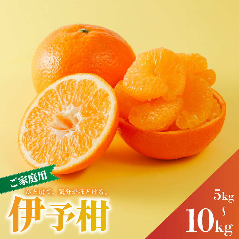 【ふるさと納税】 家庭用 宮内伊予柑 5kg/10kg サイズ混合 【2027年1月下旬から順次発送】 | 訳あり 柑橘 みかん ミカン 柑橘 果物 くだもの フルーツ おすすめ 人気 お取り寄せ グルメ ギフト 期間限定 数量限定 ご当地 愛媛県産みかん 愛媛県 松山市｜愛媛県松山市 7,300円