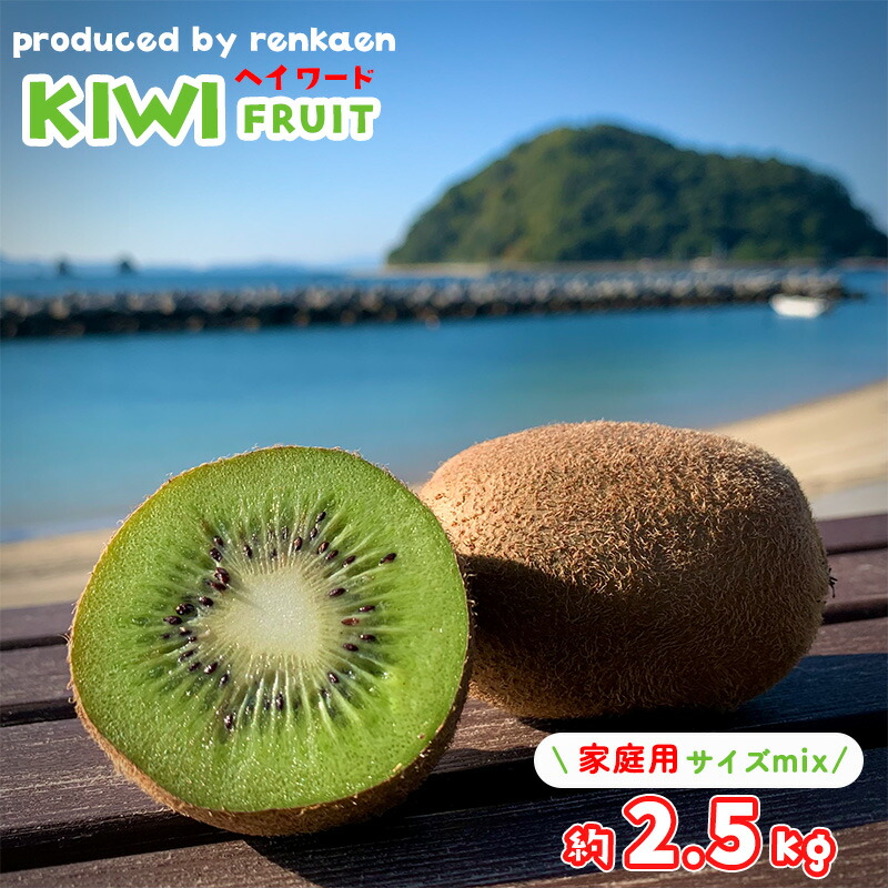 【ふるさと納税】 【先行予約】 【11月上旬から発送】  キウイフルーツ ヘイワード約2.5kg 大中小サイズ混合 家庭用（  蓮果園 キウイ  フルーツ 果物 くだもの お取り寄せ 産地直送 数量限定 人気 おすすめ 愛媛 松山  蓮果園 ）