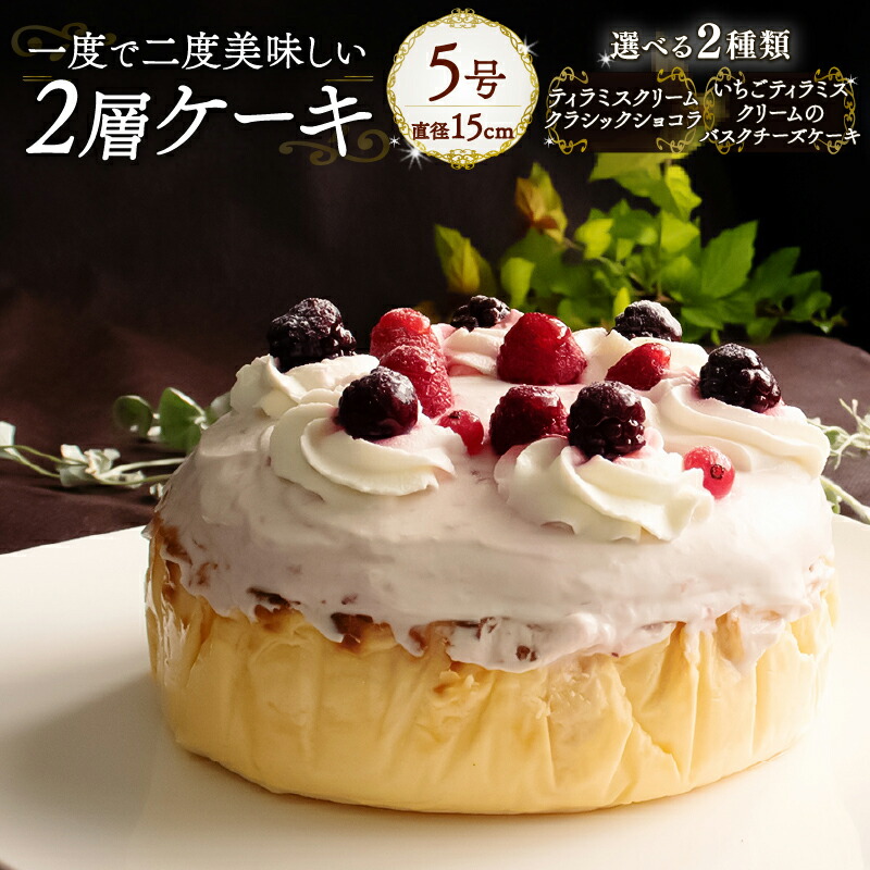 【ふるさと納税】 【選べる2種】1度で2度美味しい！ボリュームたっぷり 2層ケーキ 手作り 贈答 お祝い 愛媛県 松山市 7,600円