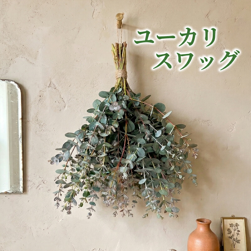 【ふるさと納税】 フレッシュ グニユーカリ スワッグ / 約30cm 約30本 | 【2026年9月上旬頃より順次発送予定】 ユーカリ スワッグ ユーカリスワッグ ゆーかり 生葉 壁掛け インテリア ナチュラル ギフト 贈り物 グニユーカリ 送料無料 愛媛県 松山市｜愛媛県松山市