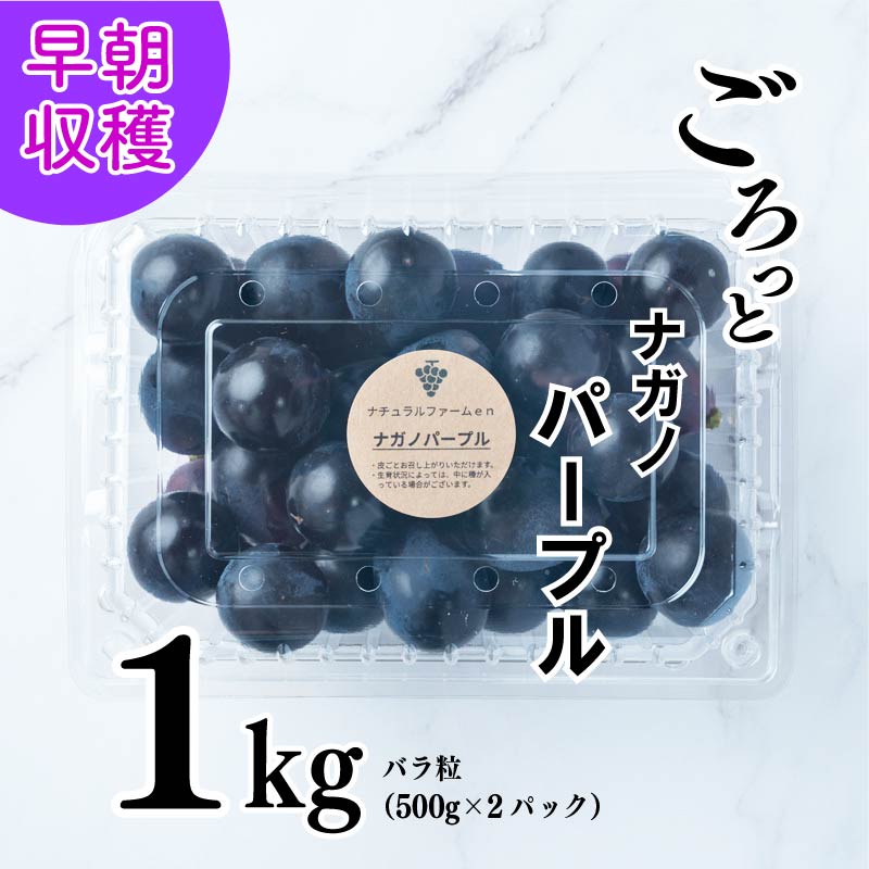 【ふるさと納税】 【2025収穫分先行予約】 ぶどう ナガノパープル 1kg バラ粒 500g 2パック 小分け 新着 人気 予約 フルーツ くだもの マスカット ぶどう 早朝 収穫 朝採れ ギフト 贈答 ※8/10頃～発送予定 ナチュラルファームｅｎ