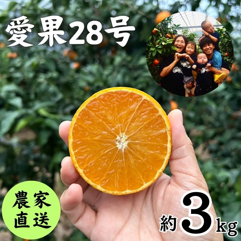 【ふるさと納税】 【先行予約(2025年11月下旬から発送)】 数量限定 愛果28号（紅まどんなと同品種） 約3kg 先行予約 愛媛 柑橘 果物 くだもの フルーツ お取り寄せ グルメ 期間限定 人気 おすすめ 愛媛県 松山市 北条森農園
