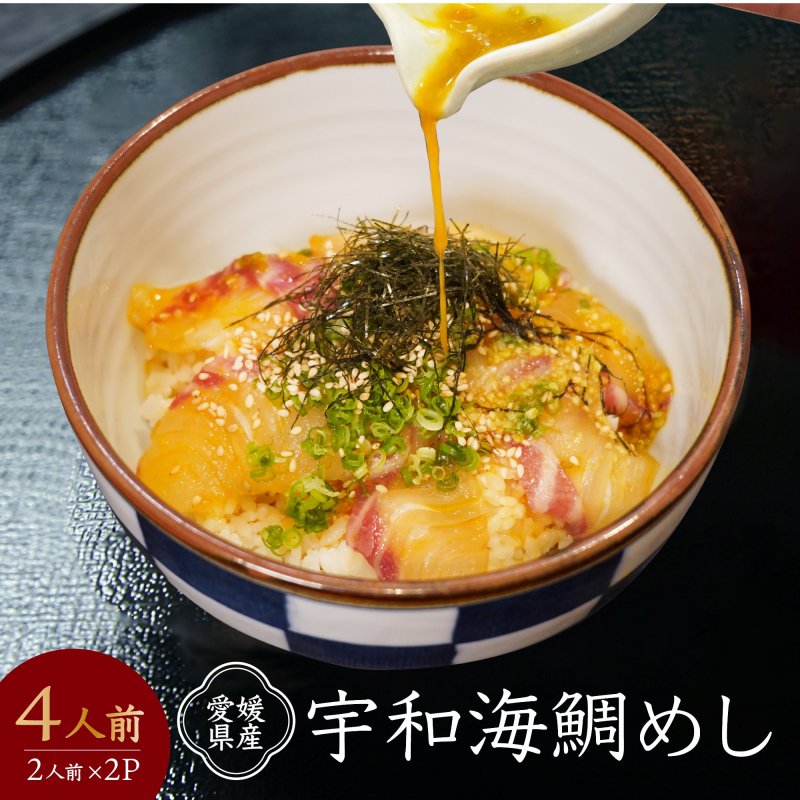 愛媛県産魚介セット 加工済 10キロ