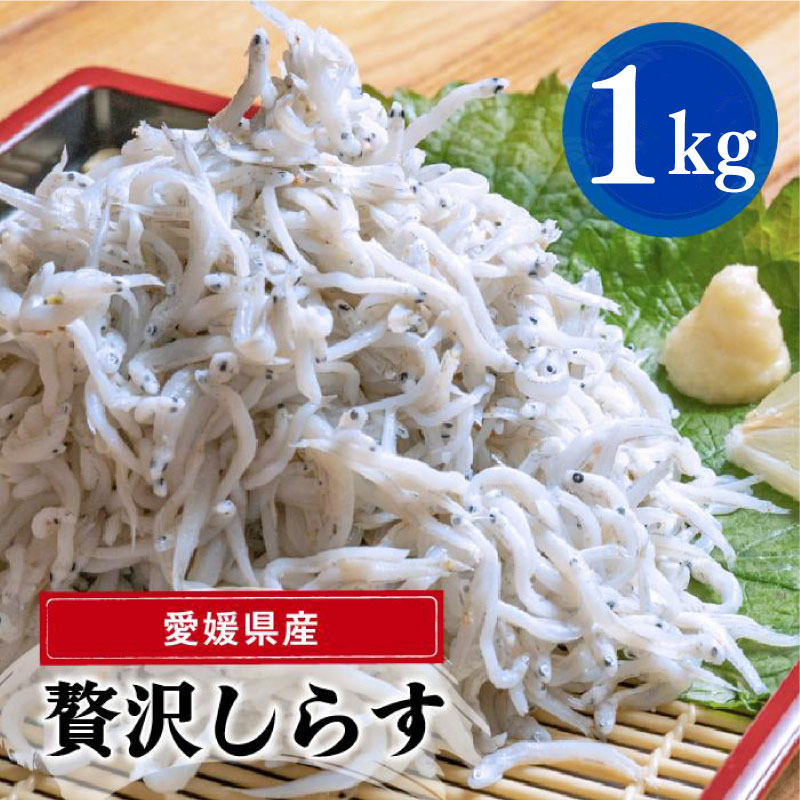 【ふるさと納税】 しらす 1kg ( 1kg × 1パック ) | 約15人前 しらす丼 丼ぶり 魚 さかな ご飯 ごはん 炒飯 チャーハン パスタ スパゲティ サラダ 卵焼き お取り寄せ グルメ 人気 おすすめ 愛媛県 松山市
