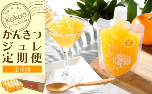 【ふるさと納税】 かんきつジュレ定期便　30個&times;4回 ジュレ コンフィチュール せとか あいか 愛果 ぶどう 柑橘 みかん ギフト おすすめ｜愛媛県松山市